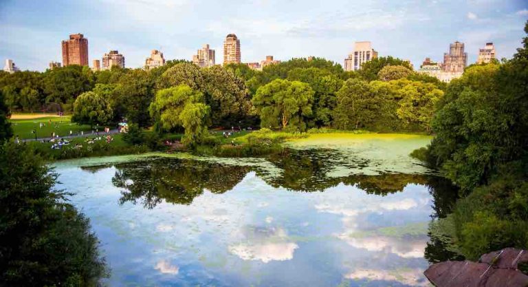 A quoi ressemblera votre été à New York et ses alentours ?