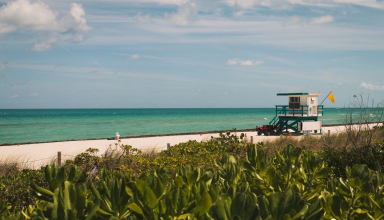 Que faire à Miami et dans le Sud de la Floride cet été