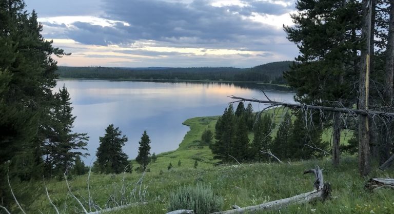 3 endroits exceptionnels où faire du camping sauvage à Yellowstone