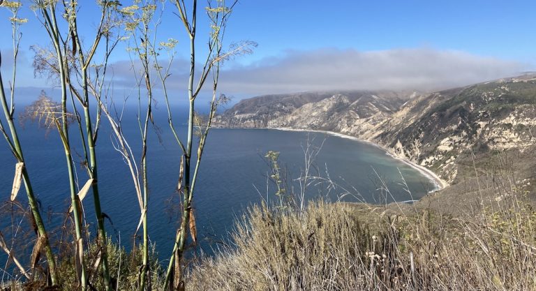 Les îles pour mettre les voiles autour de Los Angeles