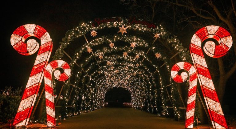 Comment s’occuper pendant les vacances de Noël quand on est coincé à Los Angeles