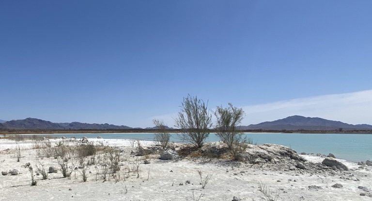 Ash Meadows, un paradis au beau milieu du désert