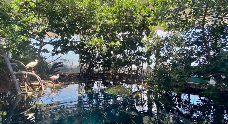 6 activités à ne pas manquer en avril à Miami