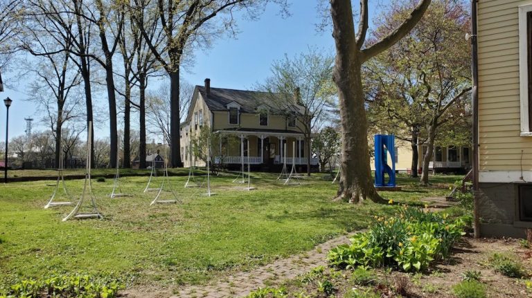 Rosé, musique et écologie sur Governors Island cet été