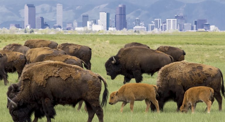 Trois jours à Denver, dans le Colorado