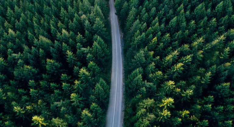 Patrimoine : comment faire un investissement rentable aux États-Unis ?