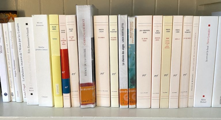 La Bibliothèque orange, le groupe de lecture francophone qui cartonne dans la Bay Area