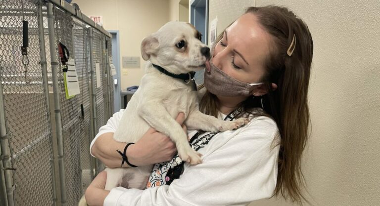 Le refuge, bon plan pour adopter un animal à DC