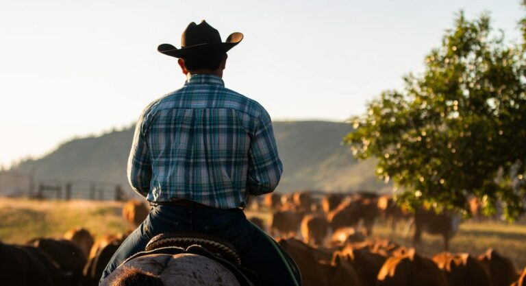 Pourquoi les chapeaux de cow-boy sont-ils si populaires ?