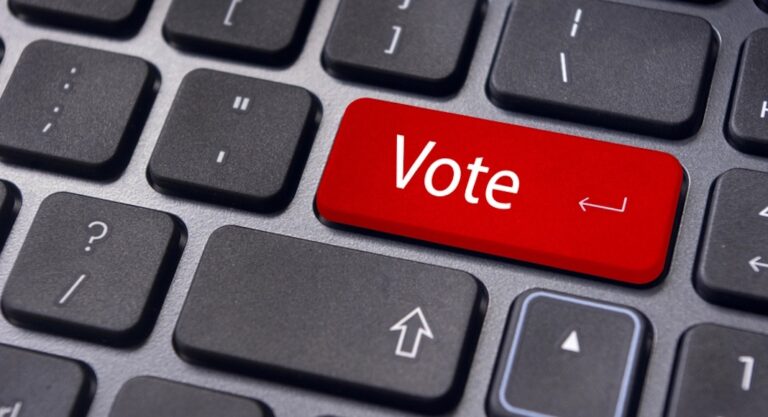 Législatives 2022 : le vote par internet face aux bugs