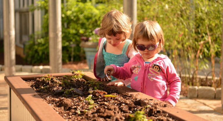 Que faire avec ses enfants à DC cet été ?
