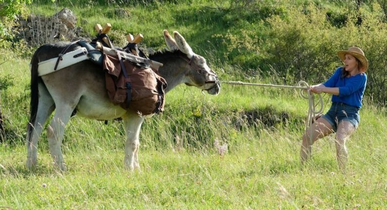 «Antoinette dans les Cévennes» sort en salle aux États-Unis