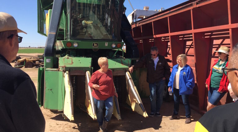 Sauver l’agriculture, le pari de Camp Verde en Arizona