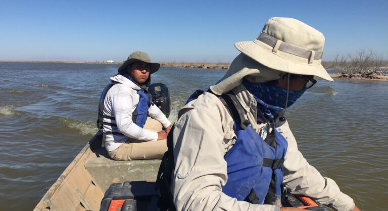 Au Mexique, le fleuve Colorado espère revoir la mer