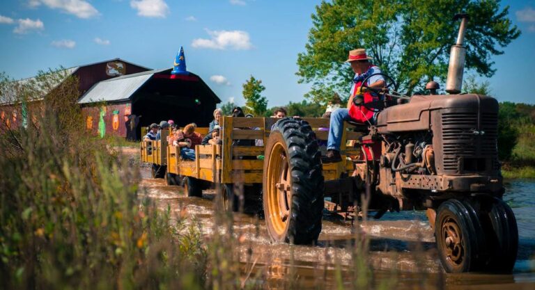 Cidre, citrouilles et festivals: Où profiter de l’automne autour de Washington?