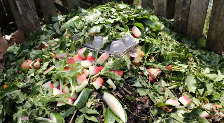 Le compostage à New York, «c’est plus facile qu’en France»