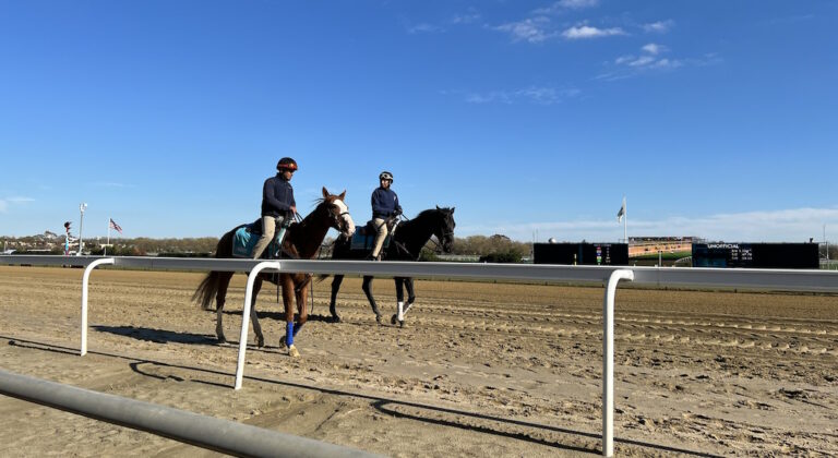 L’Aqueduct Racetrack, pour l’amour des chevaux et du jeu à New York