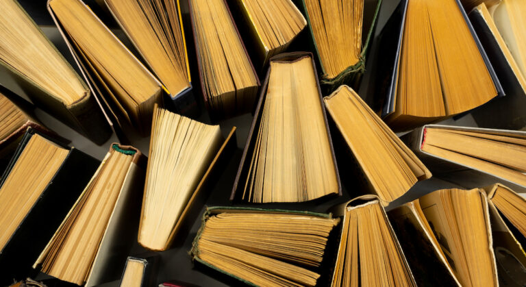 À Los Angeles, les librairies qui font lire en français