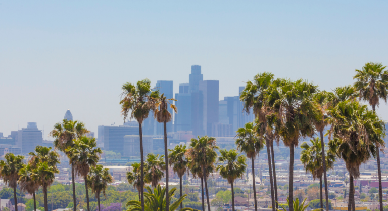 Comment choisir son agent immobilier à Los Angeles ?