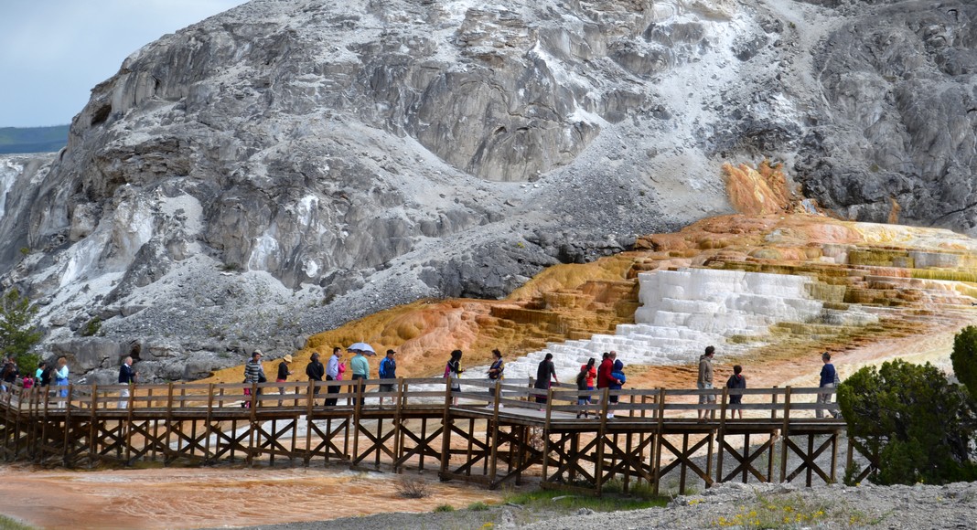 parc national Yellowstone
