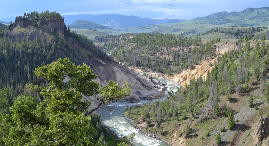 parc national Yellowstone