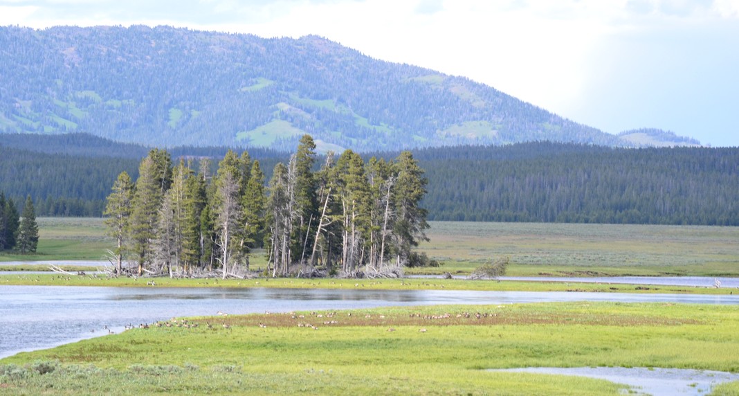 parc national Yellowstone