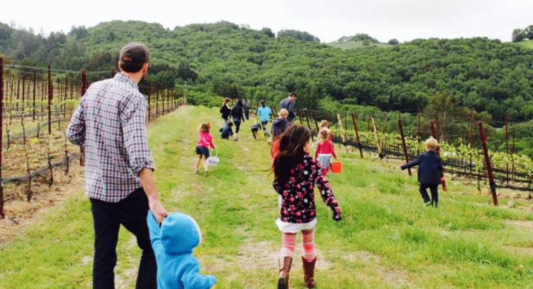 5 vignobles accueillants pour parents ET enfants dans les vallées de Sonoma et de Napa 