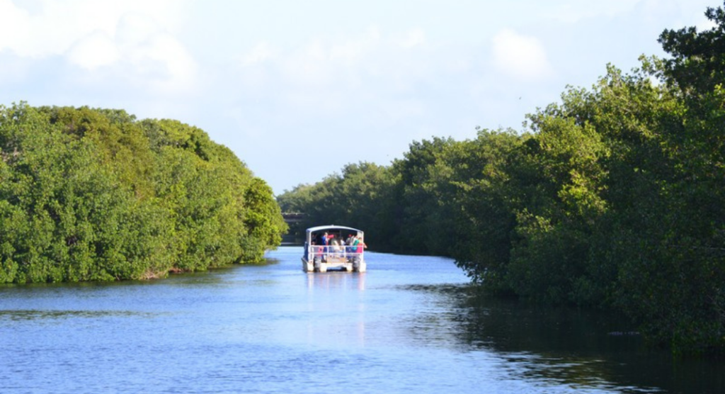 Balade bateau parc national des Everglades