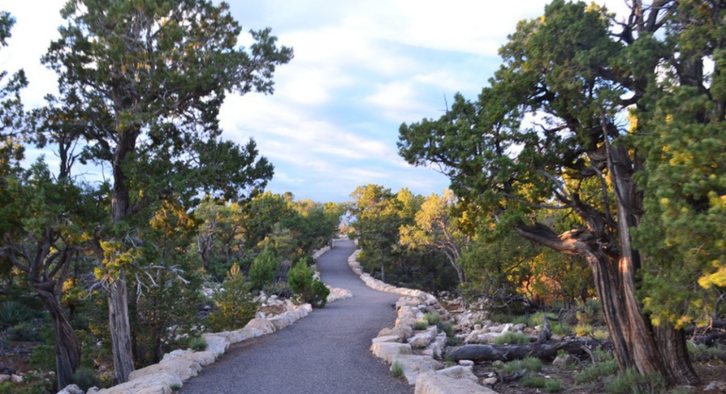 Balade Grand Canyon