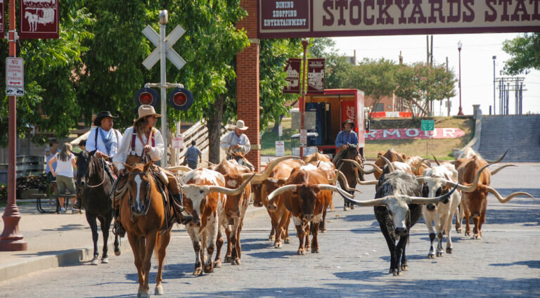 Une journée à Fort Worth, au cœur de l’héritage Western