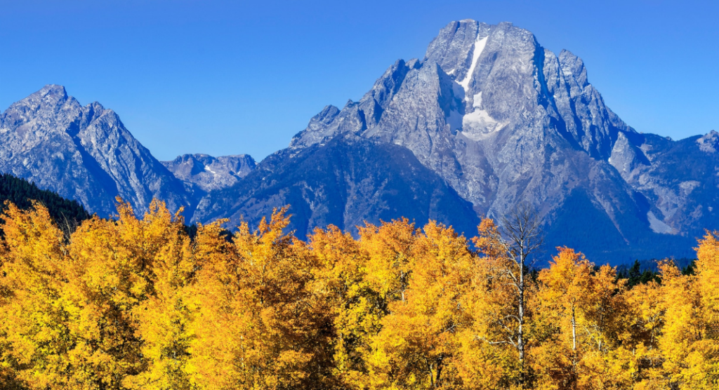 Automne Grand Teton