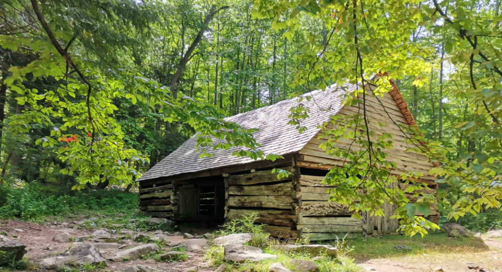 Cabine Historique Smoky Mountains