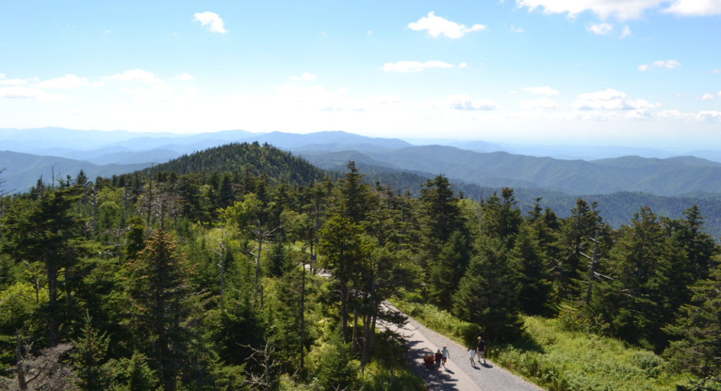 Point de vue Clingman's Dome