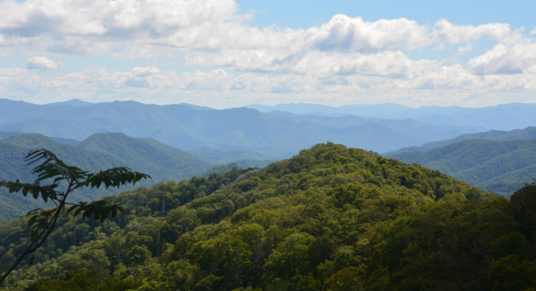 Parc national des Great Smoky Mountains: Les Appalaches qui fument