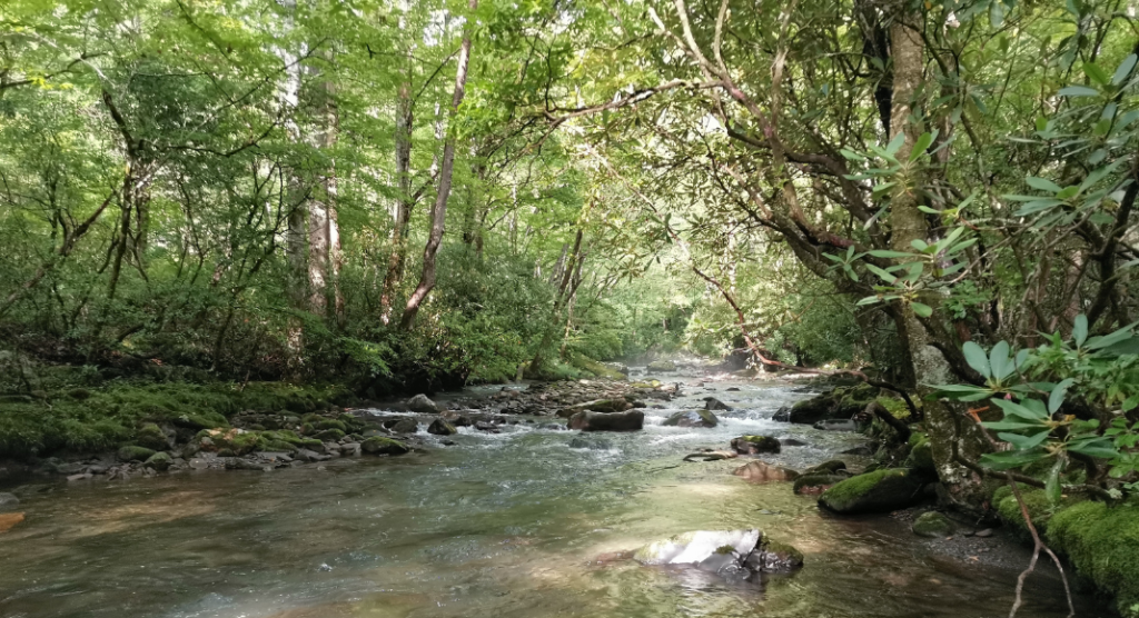 Rivière Smoky Mountains