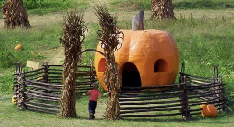 Cidre, citrouilles et festivals : Où profiter de l&rsquo;automne autour de Washington ?