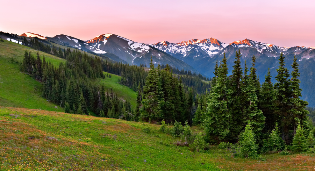 Hurricane Ridge