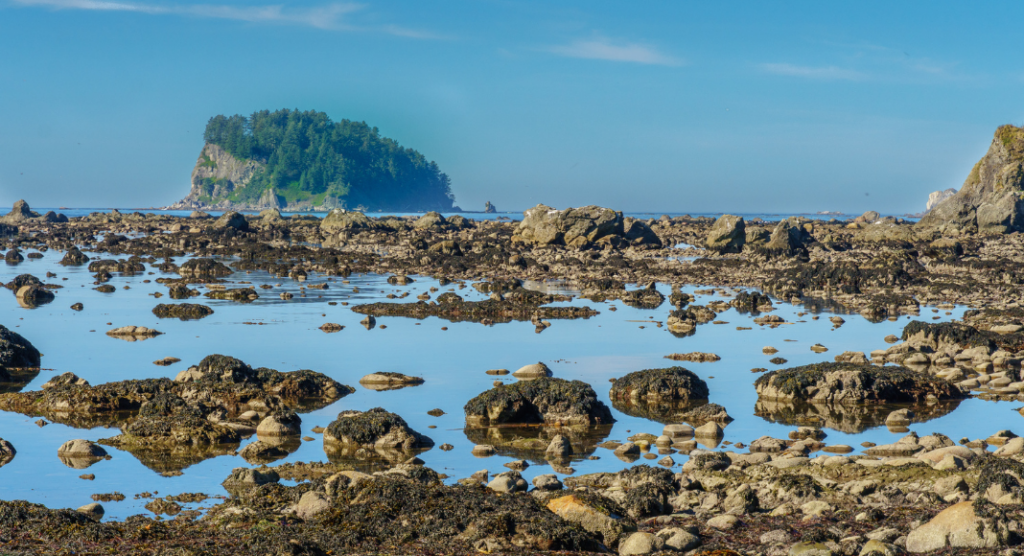 Ozette Lake