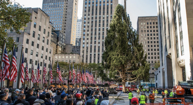 Brèves new-yorkaises: Mafia, baisse des loyers et sapin du Rockefeller Center