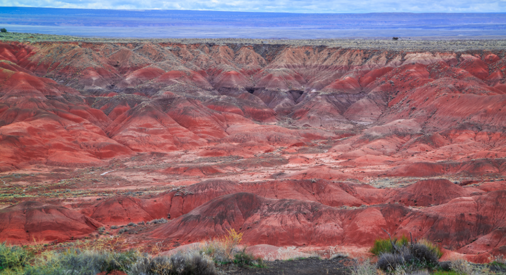 Painted Desert