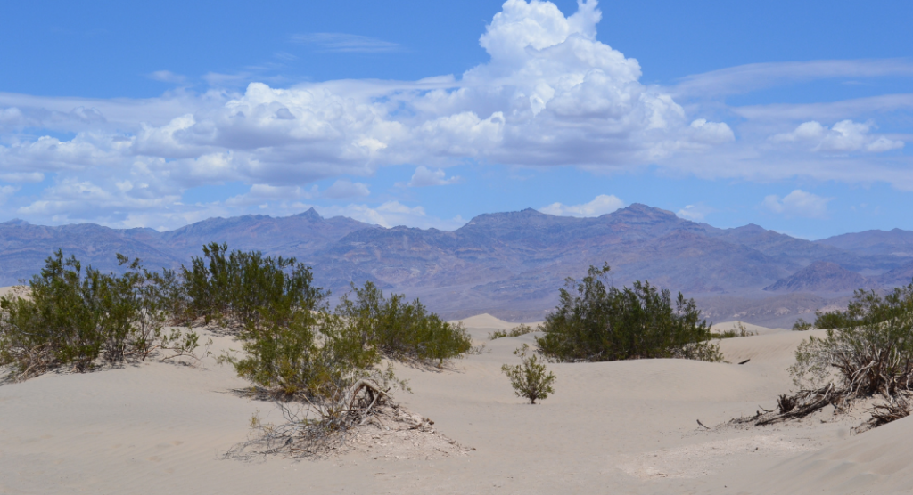 Mesquite Flat Sand Dunes