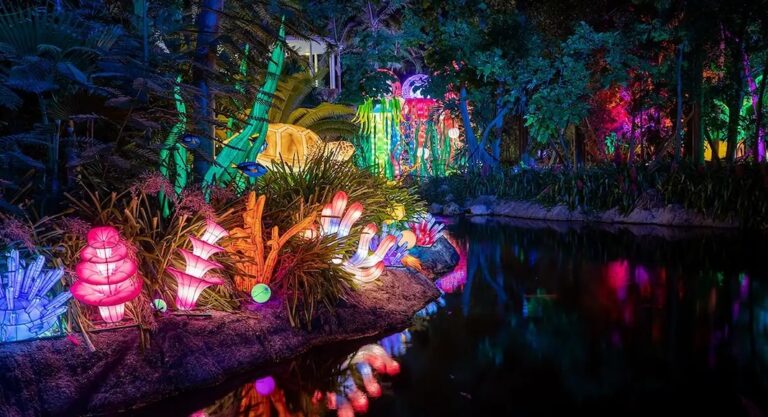 Où voir les plus belles illuminations de Noël à Miami?