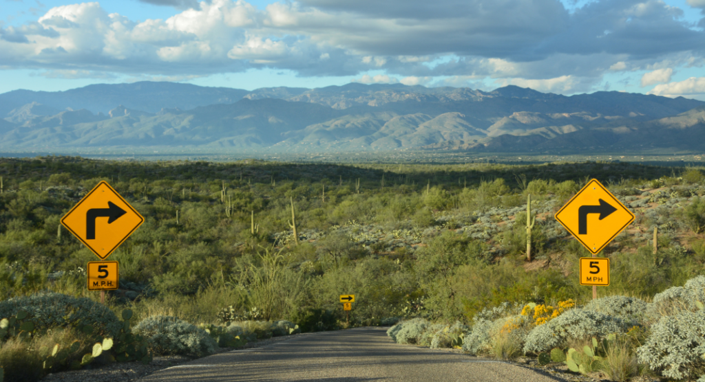arrivée parc national de saguaro