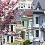 Cherry Blossom 2026 : Où voir les cerisiers en fleur dans San Francisco et ses environs ?