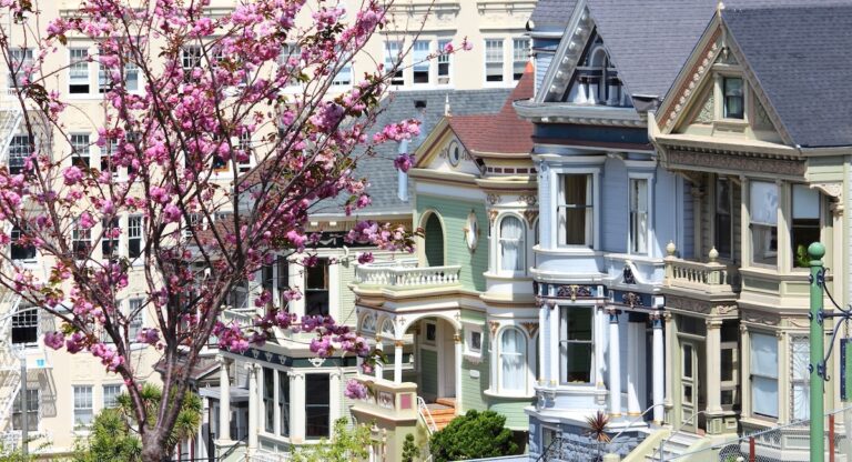 Cherry Blossom 2026 : Où voir les cerisiers en fleur dans San Francisco et ses environs ?