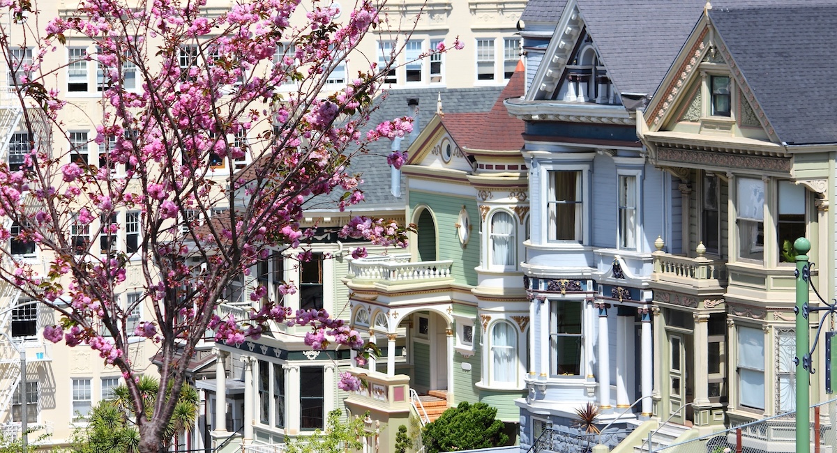 Cherry Blossom 2026 : Où voir les cerisiers en fleur dans San Francisco et ses environs ?