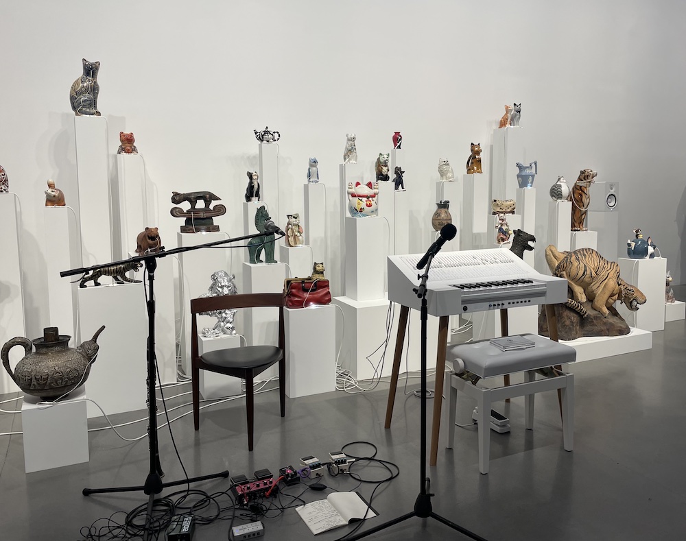 Cat Orchestra Oliver Beer ©Olivia Garcin