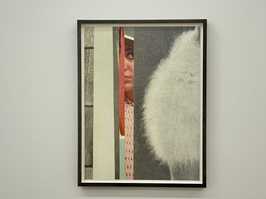 Bureau Gallery, Erica Baum ©Olivia Garcin