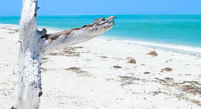 5 campings où planter sa tente en Floride