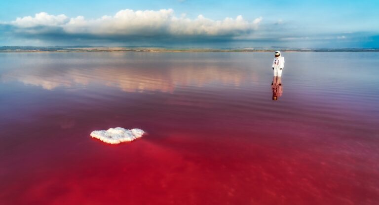 Welcome to Earth, l’ode à la Terre du photographe Jérémy de Backer au Sofitel de NY